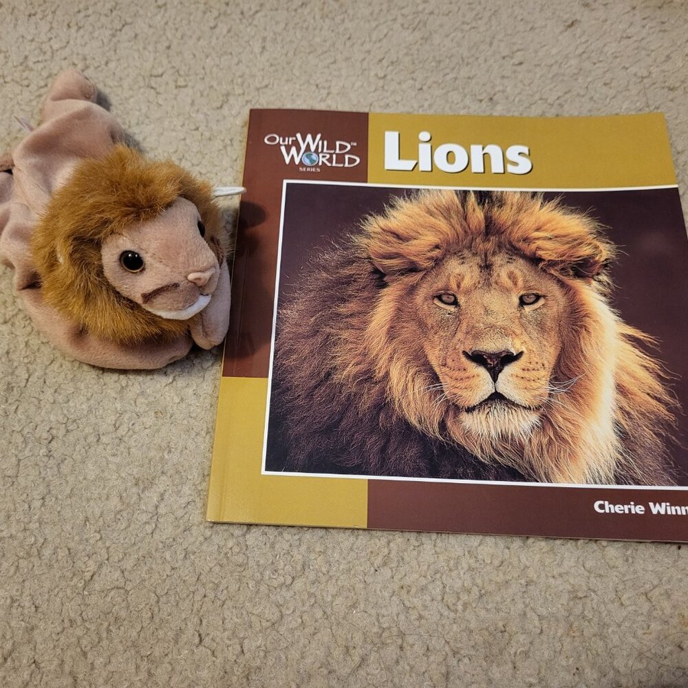 Lion and Book – Ty Lion “Roary” and Book about “Lions”